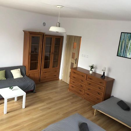 Apartament “Jasny” Nad Wisla Dobrzyków Εξωτερικό φωτογραφία